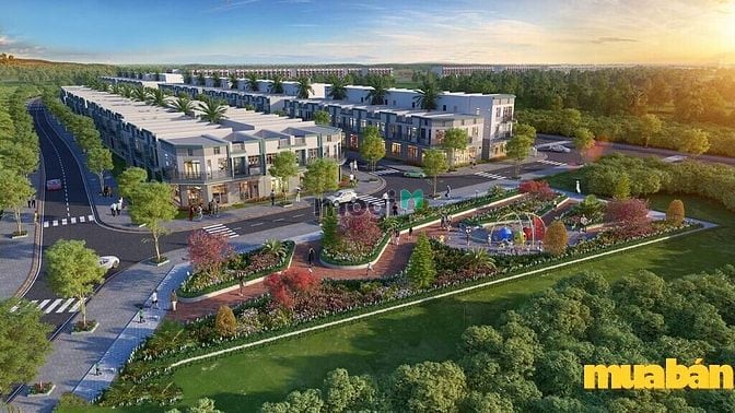 Mega Royal City Đồng Xoài