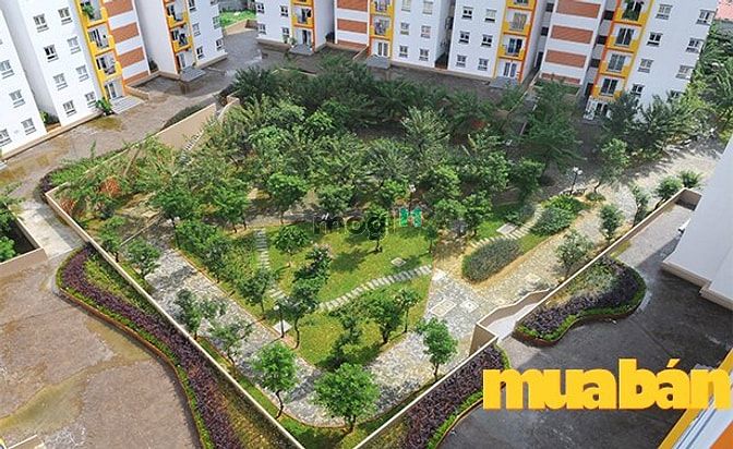 Mb6623 nạp rút nhanh chóng Nest Home 1