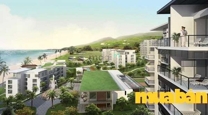Ocean Vista