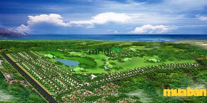 Paradise Bay