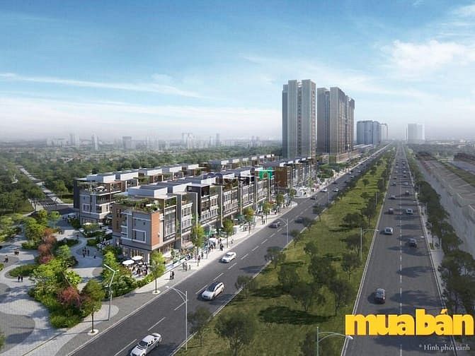 Celesta Avenue