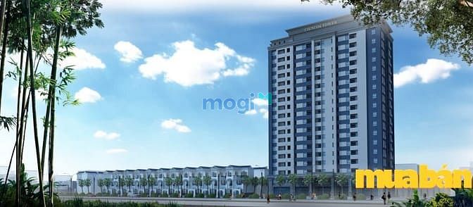 Tổ Hợp Cienco 4 Tower