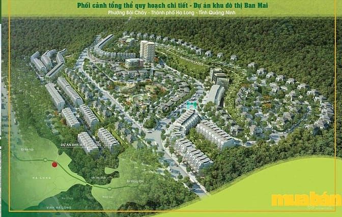 Ban Mai Villas Bãi Cháy