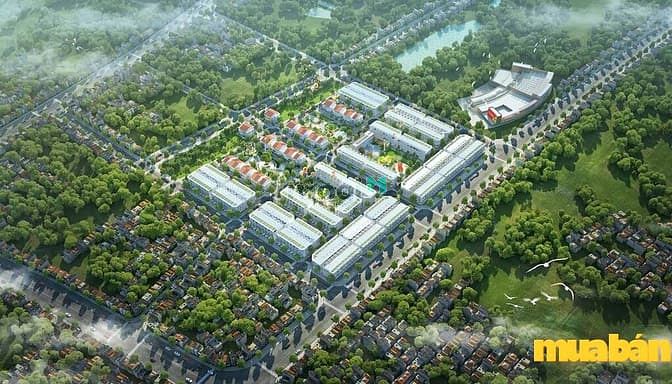 TNR Amaluna Trà Vinh