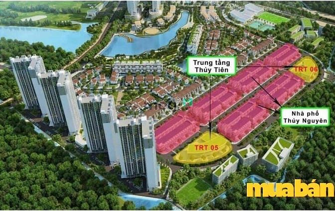 Thủy Tiên Sky Villas - Ecopark
