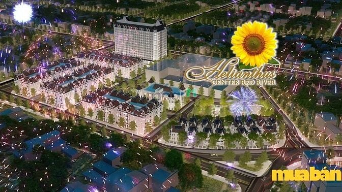 Helianthus Center Red River