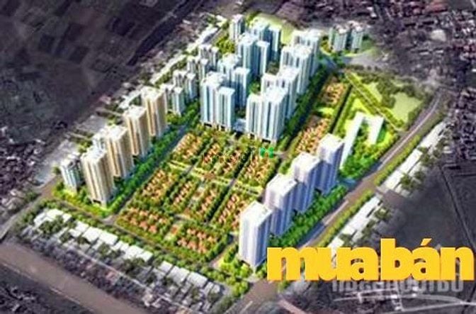 Vibex Từ Liêm
