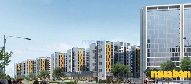 Mipec City View