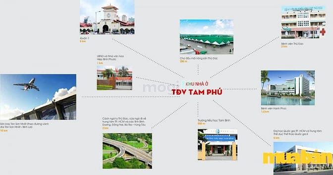 TĐV Tam Phú