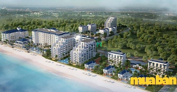 Lan Rừng Phước Hải