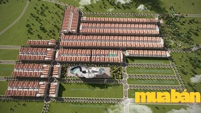 The Fusion