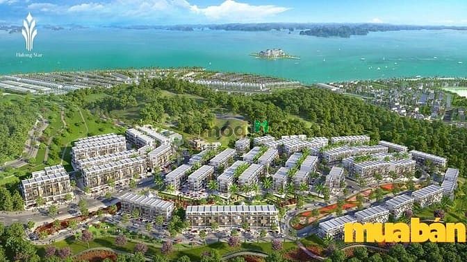 Ngôi Sao Hạ Long