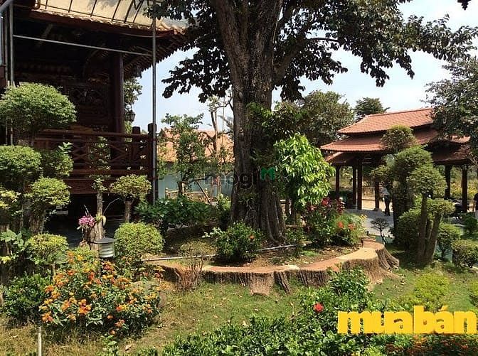 Camland Garden