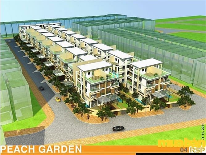Peach Garden