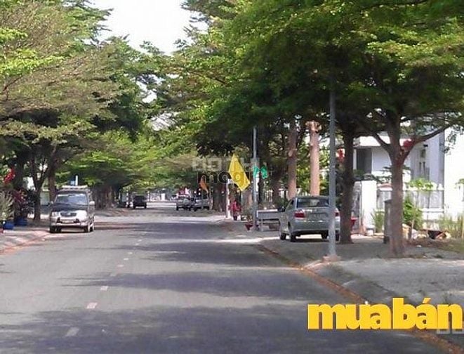 Trí Kiệt Long Trường