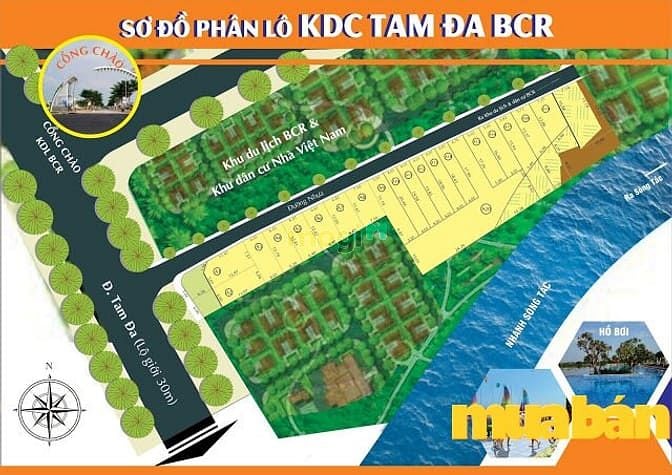 Tam Đa BCR