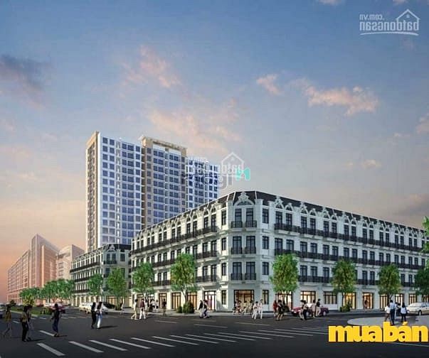 Louis Apartment Tower