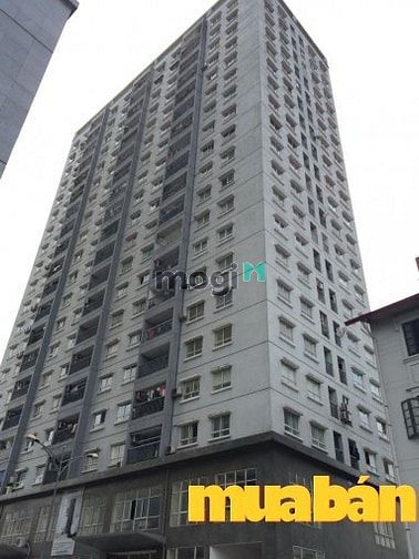 Chung cư 96 Định Công