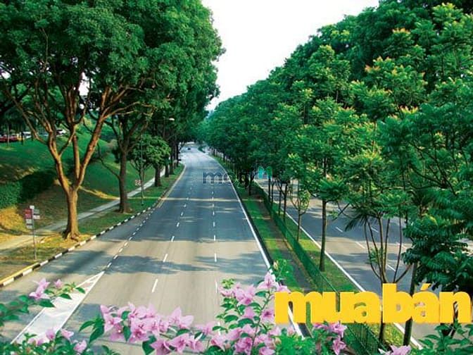 Garden Town