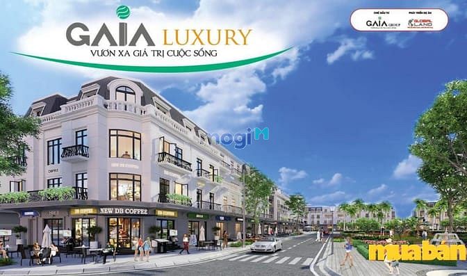 Gaia Luxury Vĩnh Lộc