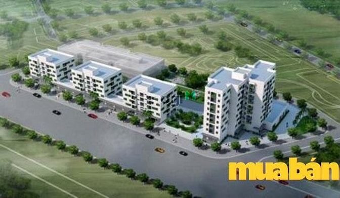 New Space Giang Biên