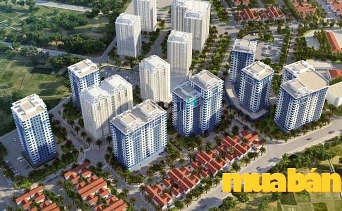 Rice City Tố Hữu