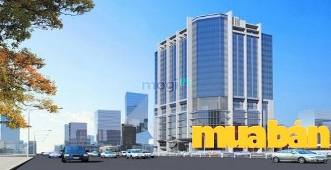 TTTM Dịch vụ Hạ Đình