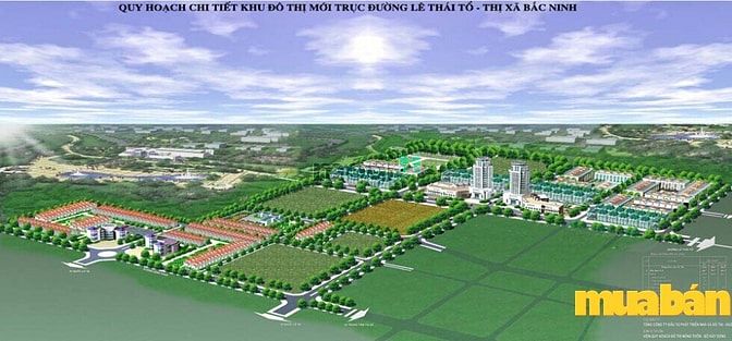 Trầu Cau Garden