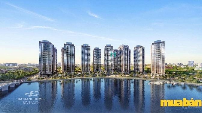 Datxanhhomes Riverside