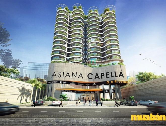 Asiana Capella