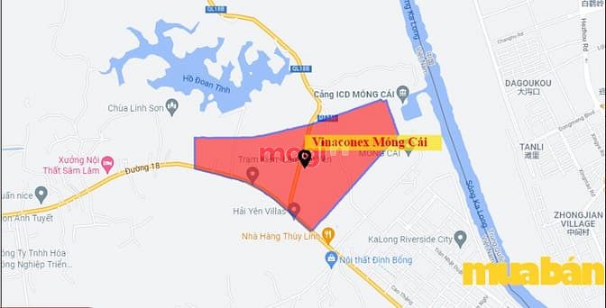 HP Naia City