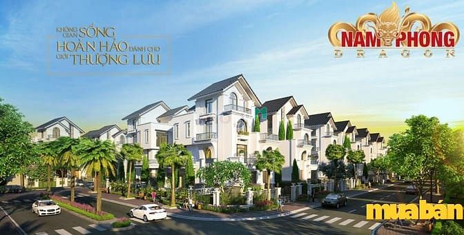 Nam Phong Dragon