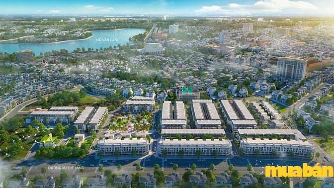 BV Bavella Lạc Ngàn