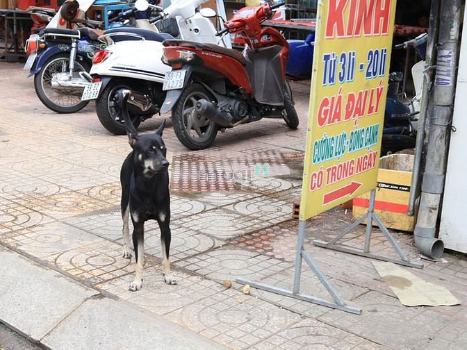 1.  Đường Cách Mạng Tháng 8, Phường 11, Quận 3