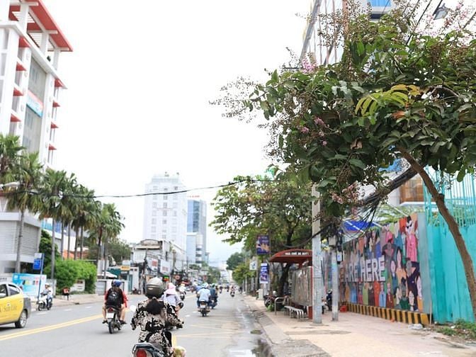 1.  Đường Cách Mạng Tháng 8, Phường 6, Quận 3