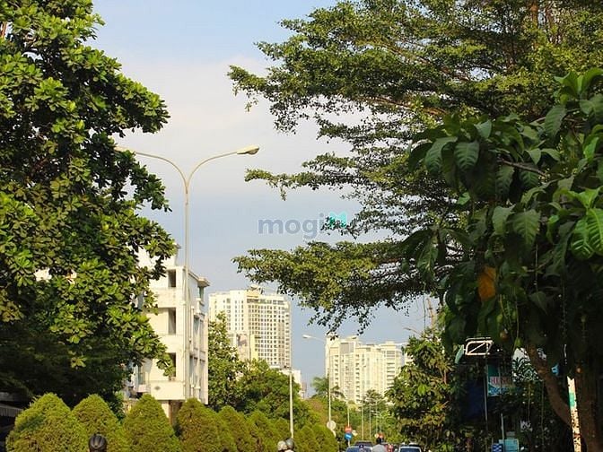 Góc đường ven hồ trung tâm. Buổi chiều