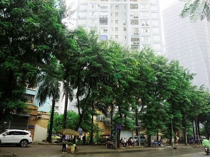 Đường Hoàng Minh Giám