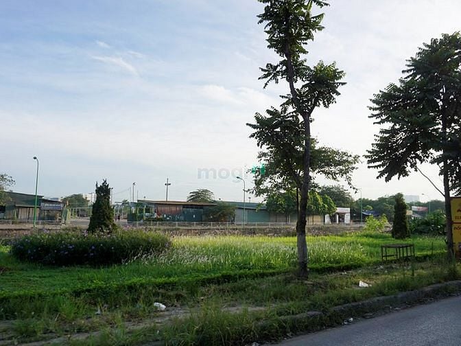 1. Phố Trịng Đình Cửu. Phường Định Công. Buổi sáng