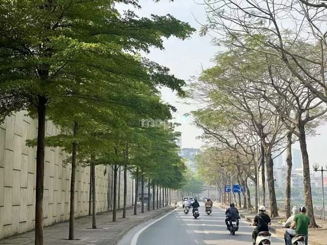 Góc đường Bưởi, phường Bưởi, buổi sáng