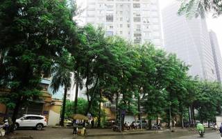 Phường Trung Hòa