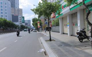 Phường 11