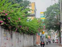 Phường 12, đường Ngô Đức Kế