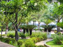 Công Viên Môi trường Xanh, Phường 26