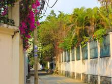 Đường 45 gần Làng Lan Anh resort. Buổi chiều.