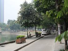 Đường Phạm Huy Thông, phường Ngọc Khánh, sáng