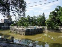 Hồ sinh thái trong làng Đại Mỗ