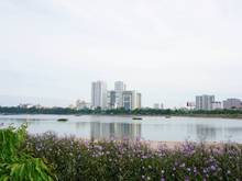 3. Hồ Linh Đàm. Phường Hoàng Liệt. Buổi sáng.