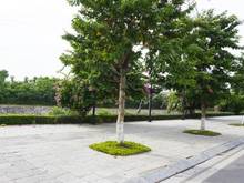 2. Đường vào UBND phường Thịnh Liệt
