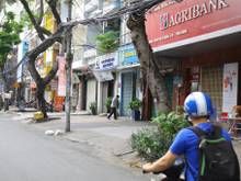 3. Đường Bàu Cát  Phường 14