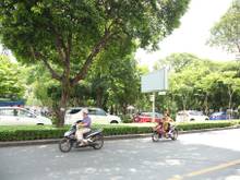 Công Viên Lê Văn Tám Đường Hai Bà Trưng, Phường Đa Kao, Quận 1